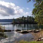 Scenic little bay with trees framing the water.